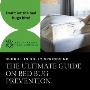 Holly Springs Pest Control pest control service image
