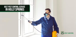 Holly Springs Pest Control professional pest control service