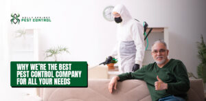 Holly Springs Pest Control Professional is spraying insecticide inside the house of a satisfied customer.