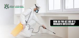 Holly Springs Pest Control Professional is spraying insecticide to prevent mosquito infestation.