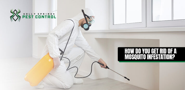 Holly Springs Pest Control Professional is spraying insecticide to prevent mosquito infestation.