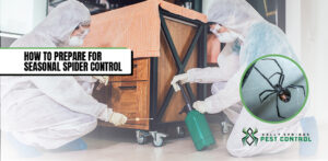 Holly Springs Pest Control Professional spraying insecticide for spider pest control.