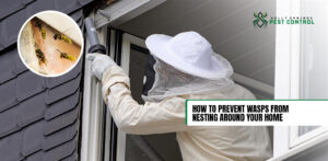 Holly Springs Pest Control Professional is treating a wasp nest.