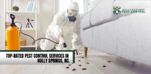 Holly Springs Pest Control Professional is exterminating cockroaches.